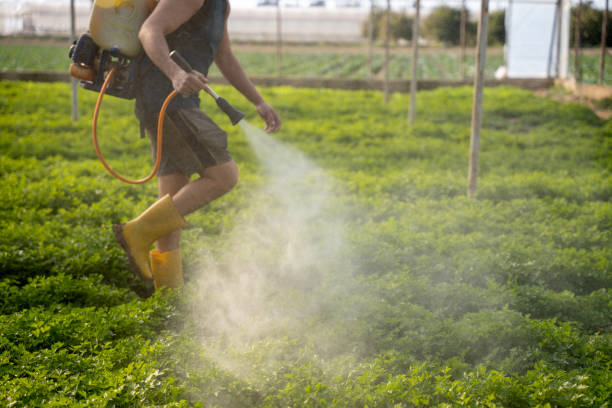 Best Pest Inspection Near Me  in Hartford, WI