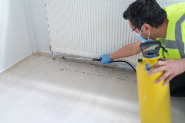  Hartford, WI Pest Control Pros