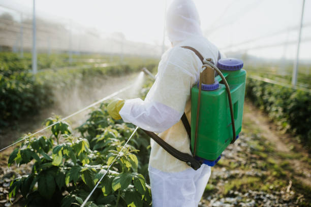 Best Pest Control Near Me  in Hartford, WI